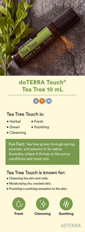 doTERRA Melaleuca Touch oil texture close-up highlighting gentle fractionated coconut base