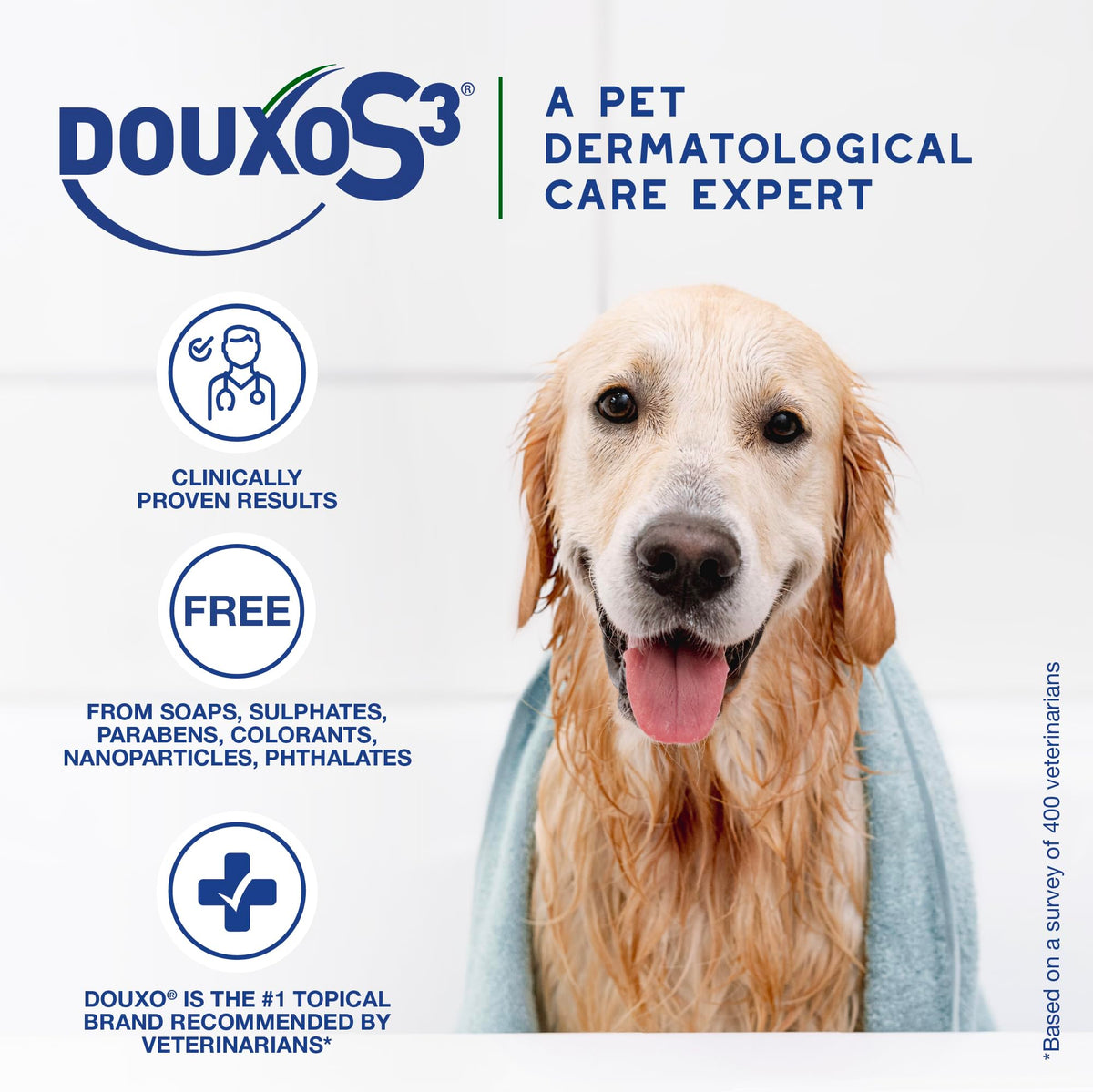 Douxo mousse being applied on a dog to reduce oiliness and odor