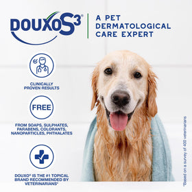 Douxo mousse being applied on a dog to reduce oiliness and odor