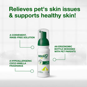 Douxo mousse detangling a long coat while moisturizing and smoothing fur