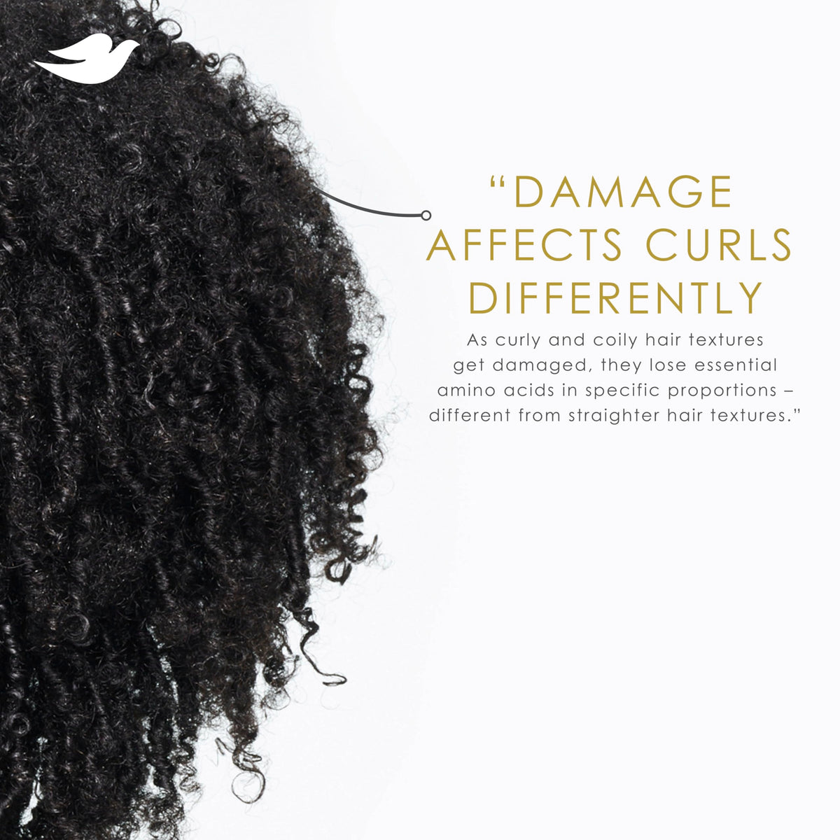 Dove Amino Curl cream used with diffuser creating defined, voluminous curls