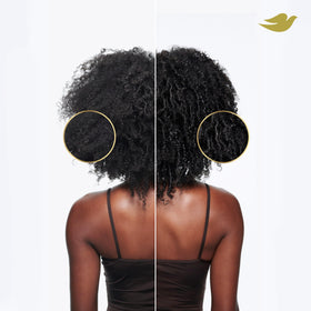 Dove products applied to curly hair demonstrating enhanced definition