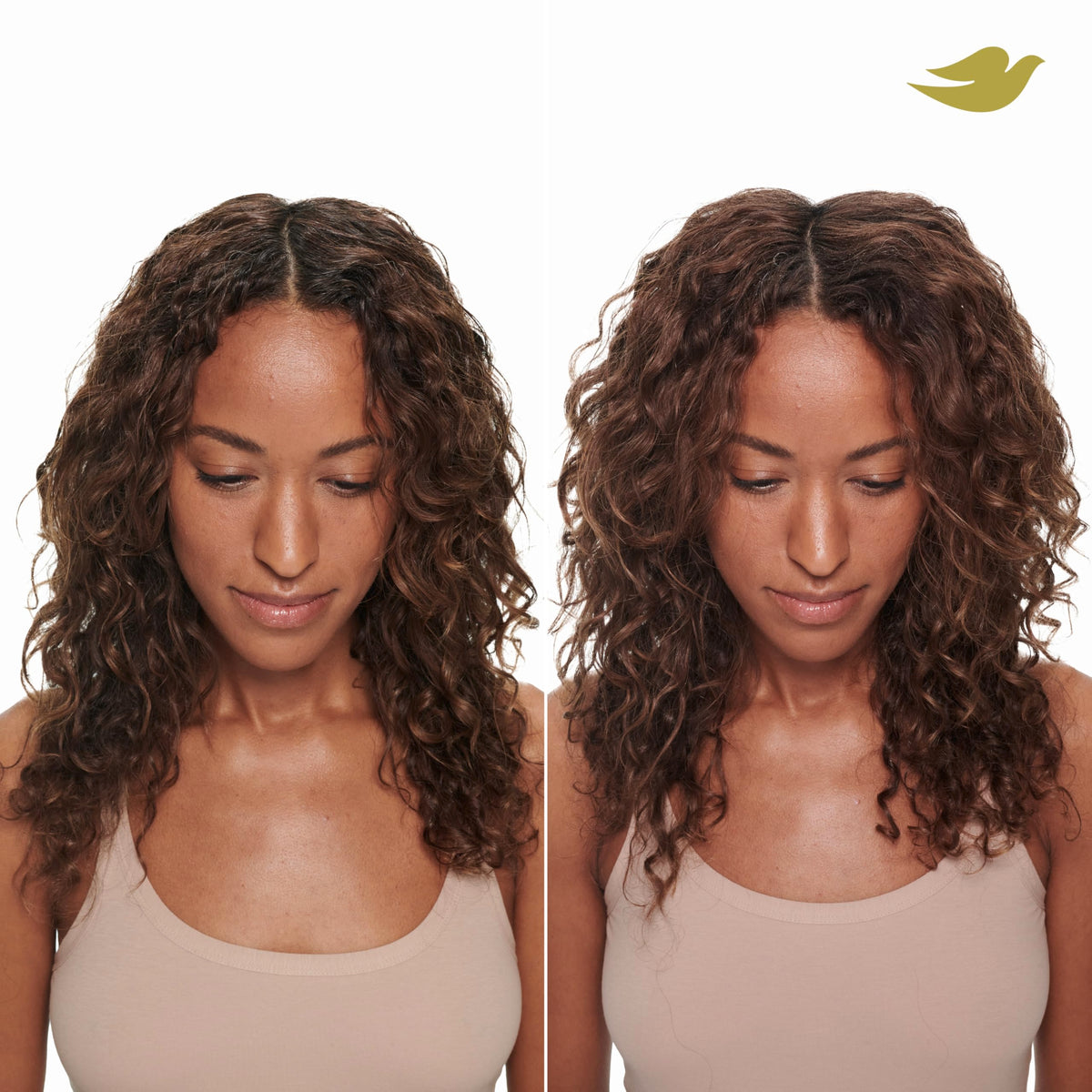 Dove Brunette visible before and after roots that blend with brunette tones
