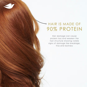 Dove conditioner cream close displaying smooth texture for detangling benefit