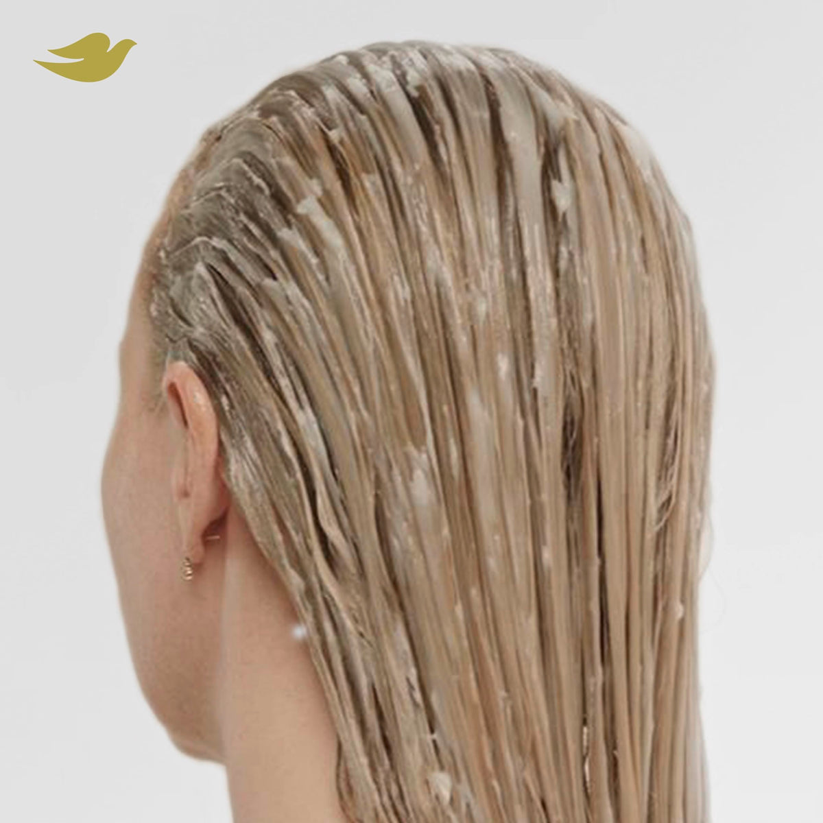Creamy conditioner texture from Dove showing moisturizing formula for reduced breakage