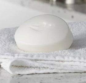 Dove bars inside a ventilated travel soap case for easy packing