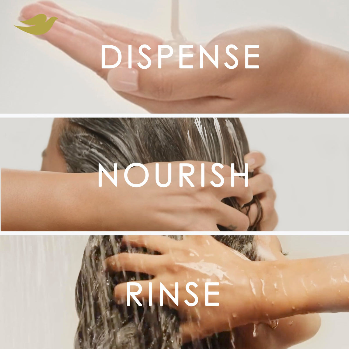 Dove bottles staged in bathroom showing everyday routine benefit