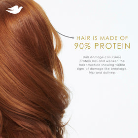 Person shampooing hair with Dove Intensive Repair for reduced breakage