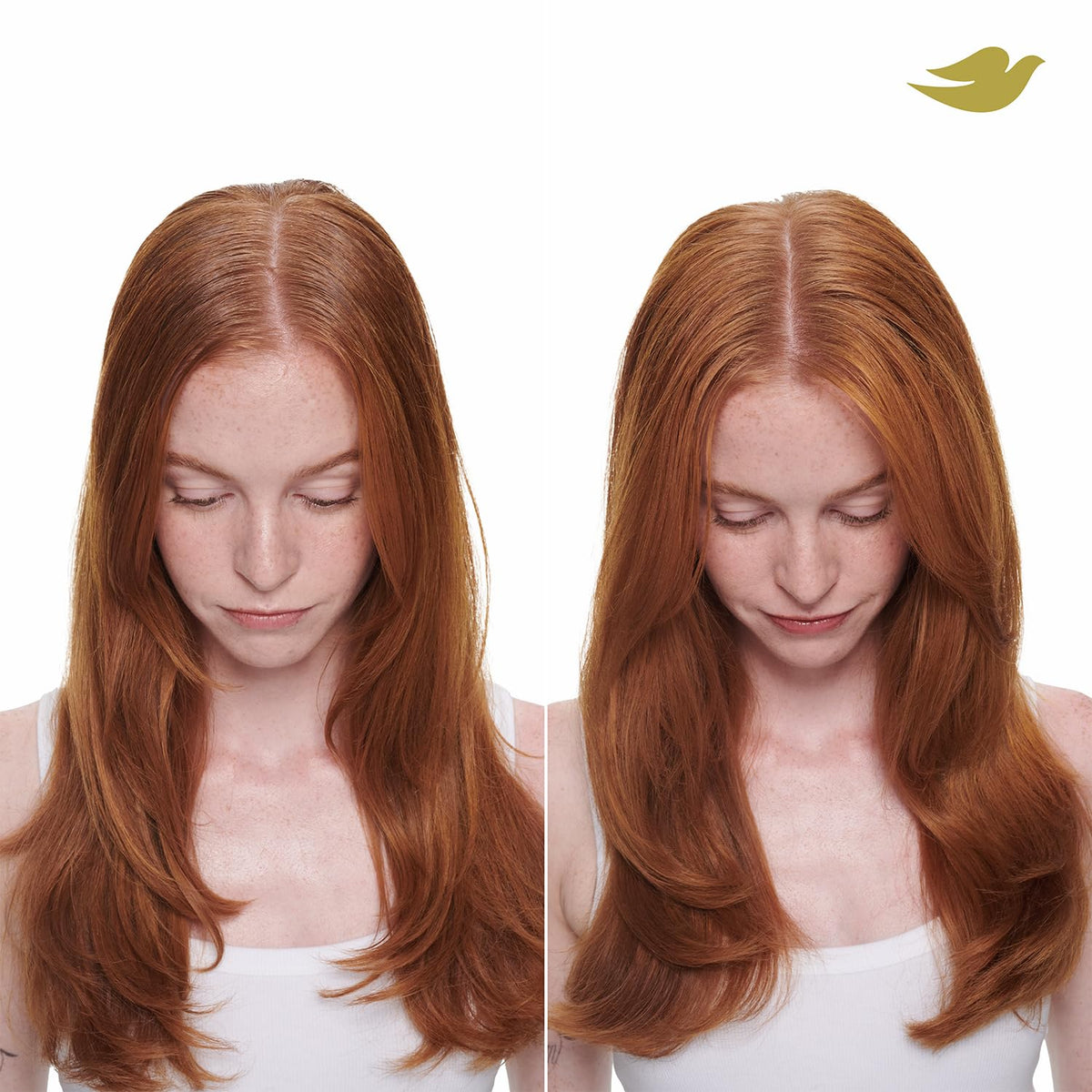 Dove product in a styled blowout scene illustrating added volume and shine
