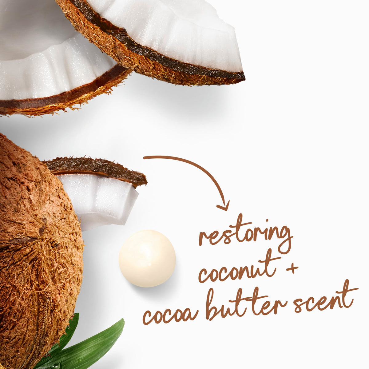 Dove bottle with towel and coconut, lifestyle scene evoking comforting scent