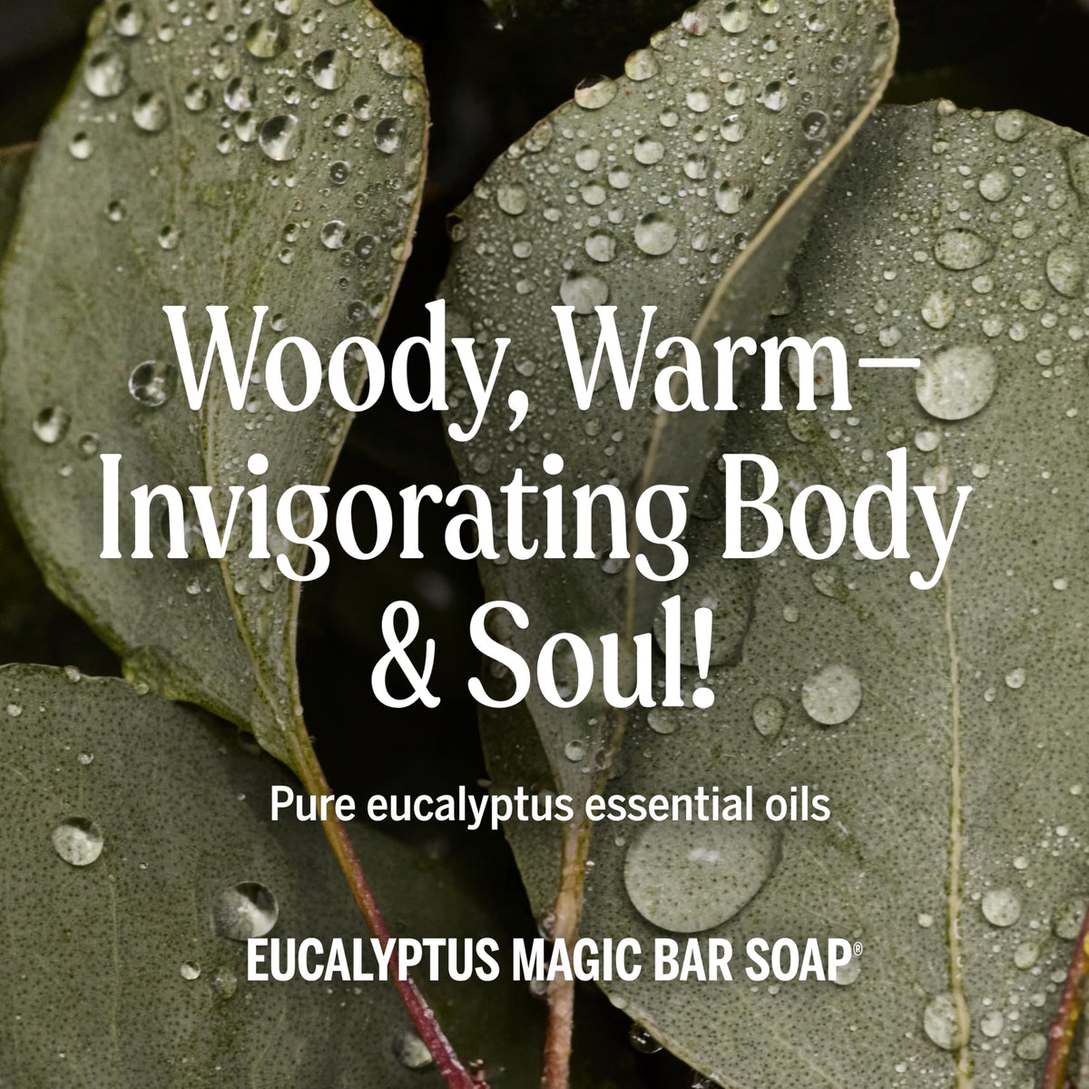 Dr. Bronner's eucalyptus label ingredients list highlighting regenerative organic oils