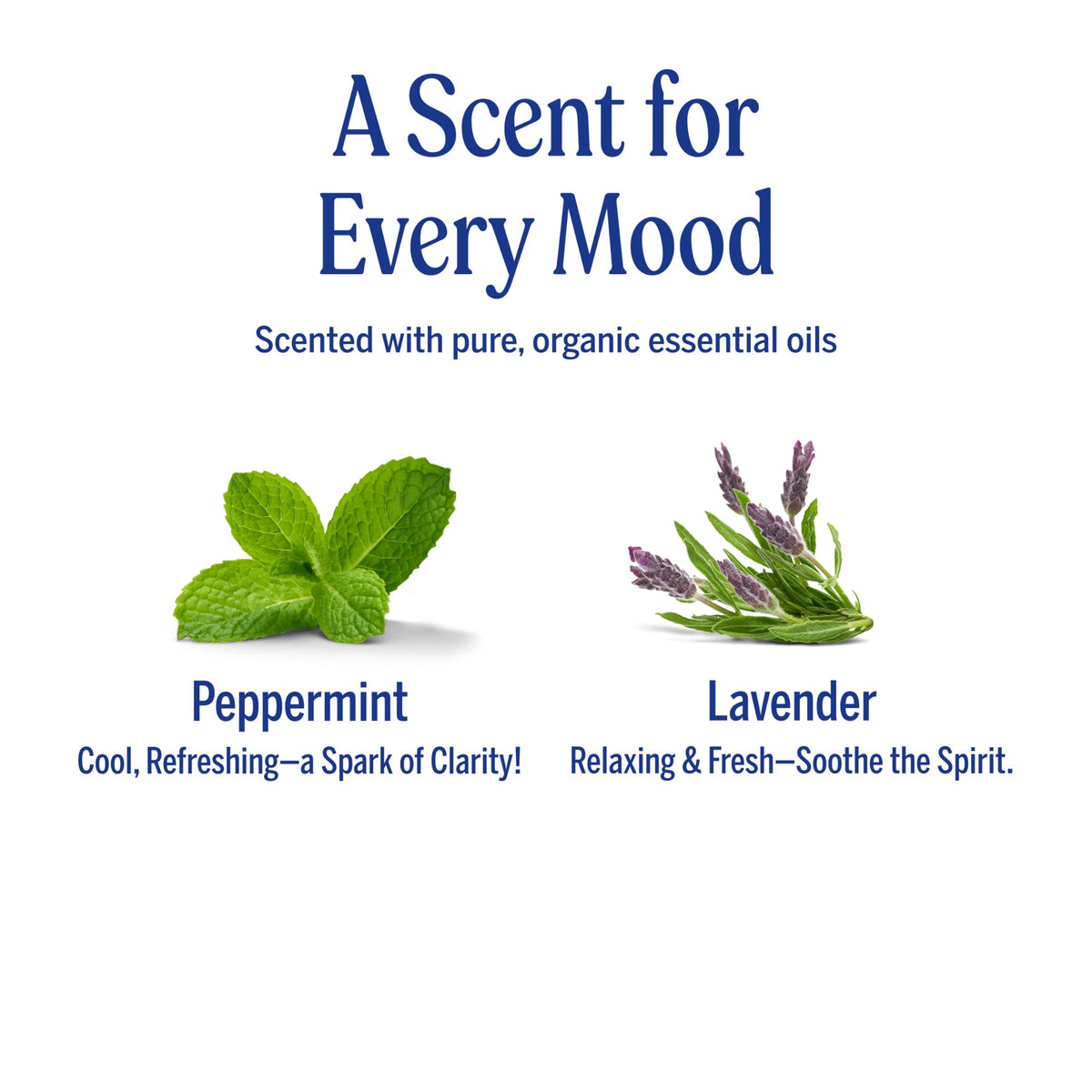 Dr. Bronner's being applied to damp hair for smoother styling benefit
