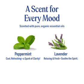 Dr. Bronner's being applied to damp hair for smoother styling benefit