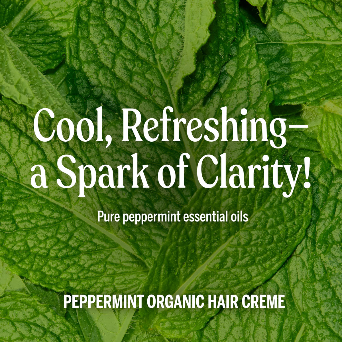 Dr. Bronner's applied to damp hair to reduce frizz and aid styling