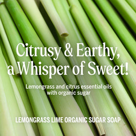 Close-up of creamy lather from Dr. Bronner's lemongrass soap, showing gentle foam and conditioning