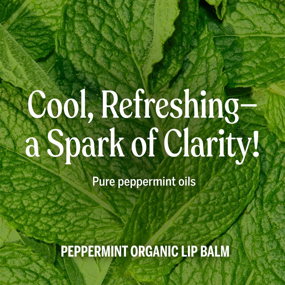 Dr. Bronner's open tube being applied to lips demonstrating smooth, cooling peppermint relief