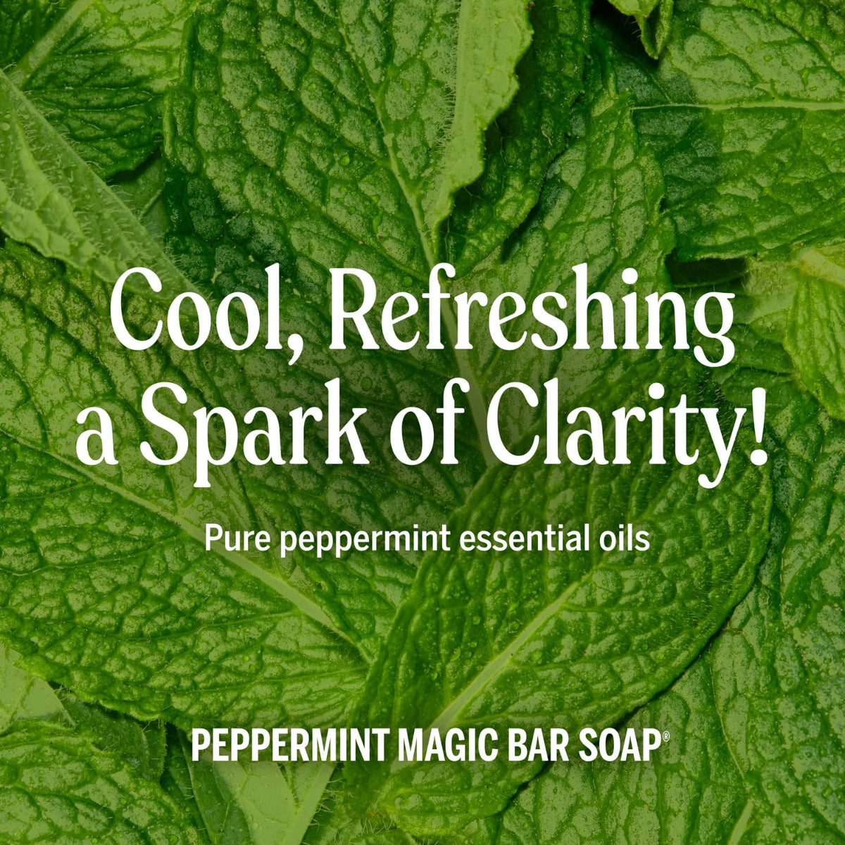 Dr. Bronner's peppermint soap suds in hair showing gentle cleaning benefit