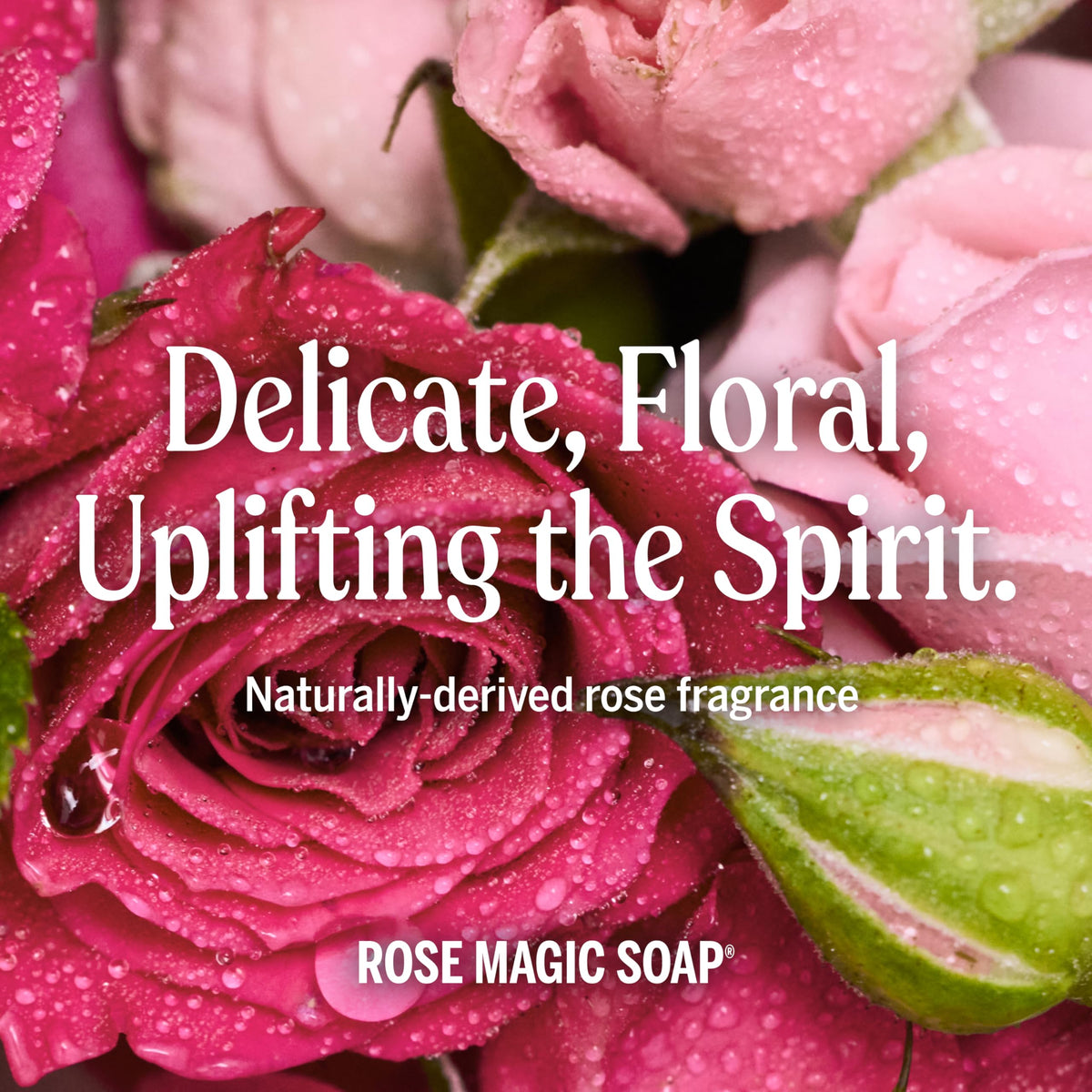 Dr. Bronner's rose bottle recycled plastic emphasizing eco-friendly packaging