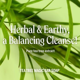 Dr. Bronner's tea tree six-pack stacked to show value and convenience