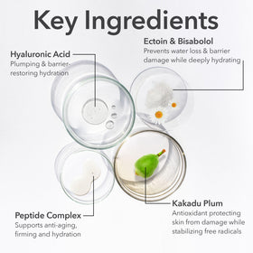 Dr Dennis Gross label close-up showing ingredients and usage directions