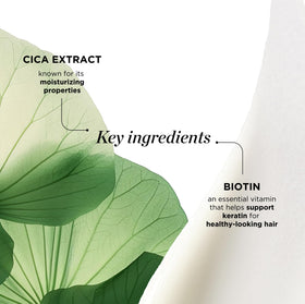 Dr. Groot centella and botanical display showing soothing ingredient benefits