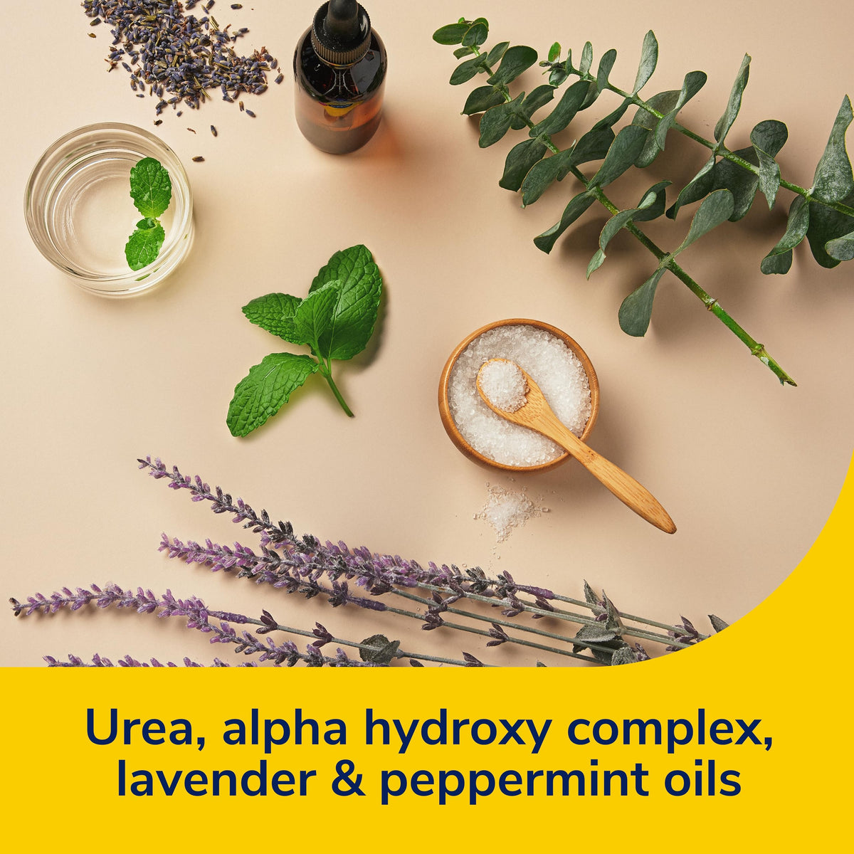 Close-up of Dr. Scholl's urea-rich formula texture highlighting deep hydration