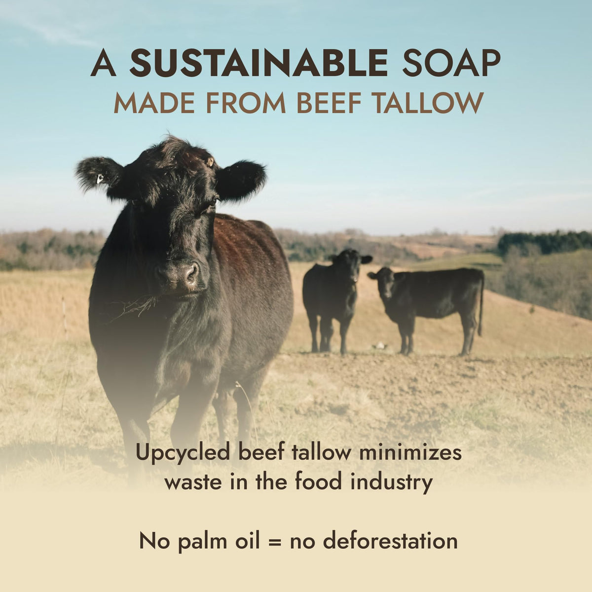 Dr. Seymour's label close-up listing two-ingredient formulation for clarity