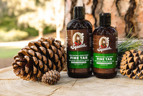 dr. squatch in-shower use illustrating easy application and invigorating scent