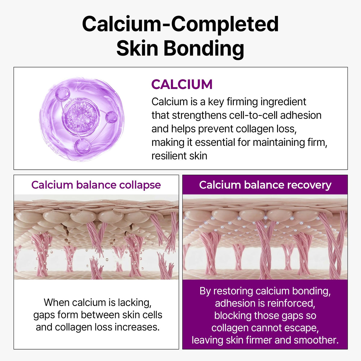 Dr.Melaxin illustrative before and after showing improved skin density benefit