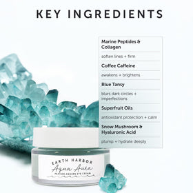 Earth Harbor blue tansy bloom close-up highlighting calming botanical