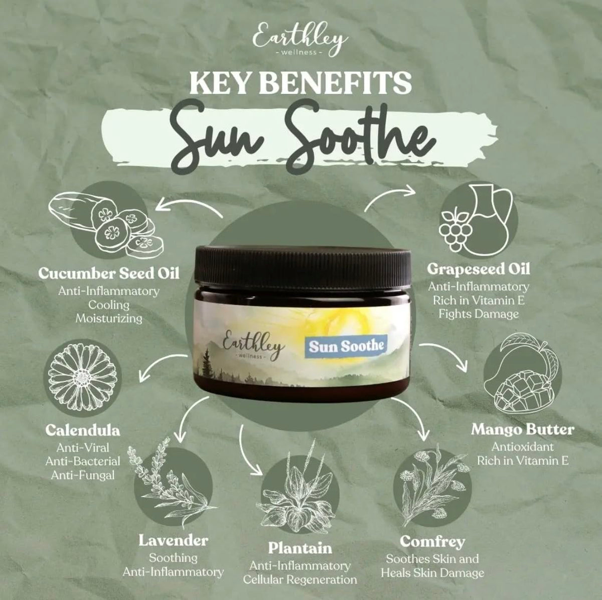Earthley Wellness creamy lotion texture close-up for quick absorption
