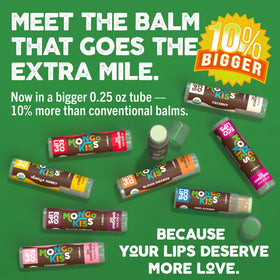 Eco Lips ingredients display with Mongongo oil and cocoa butter for natural hydration