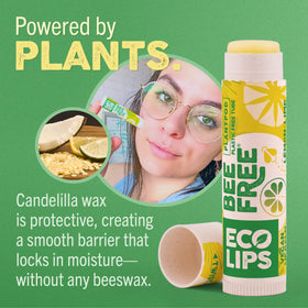 Eco Lips plant pod packaging close-up highlighting plastic-free design