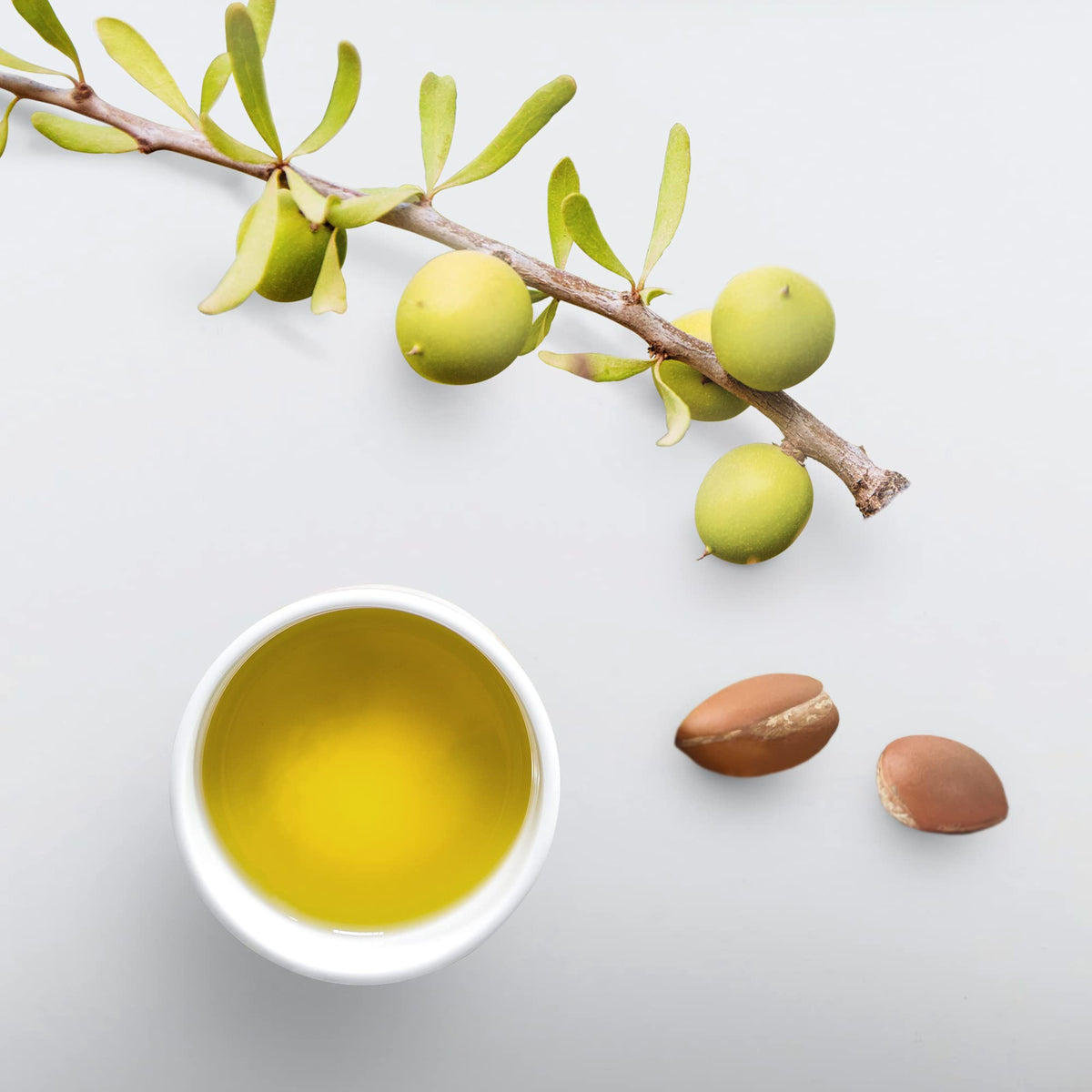 Eco Style scoop in hand illustrating 5lb tub portioning and long-lasting supply