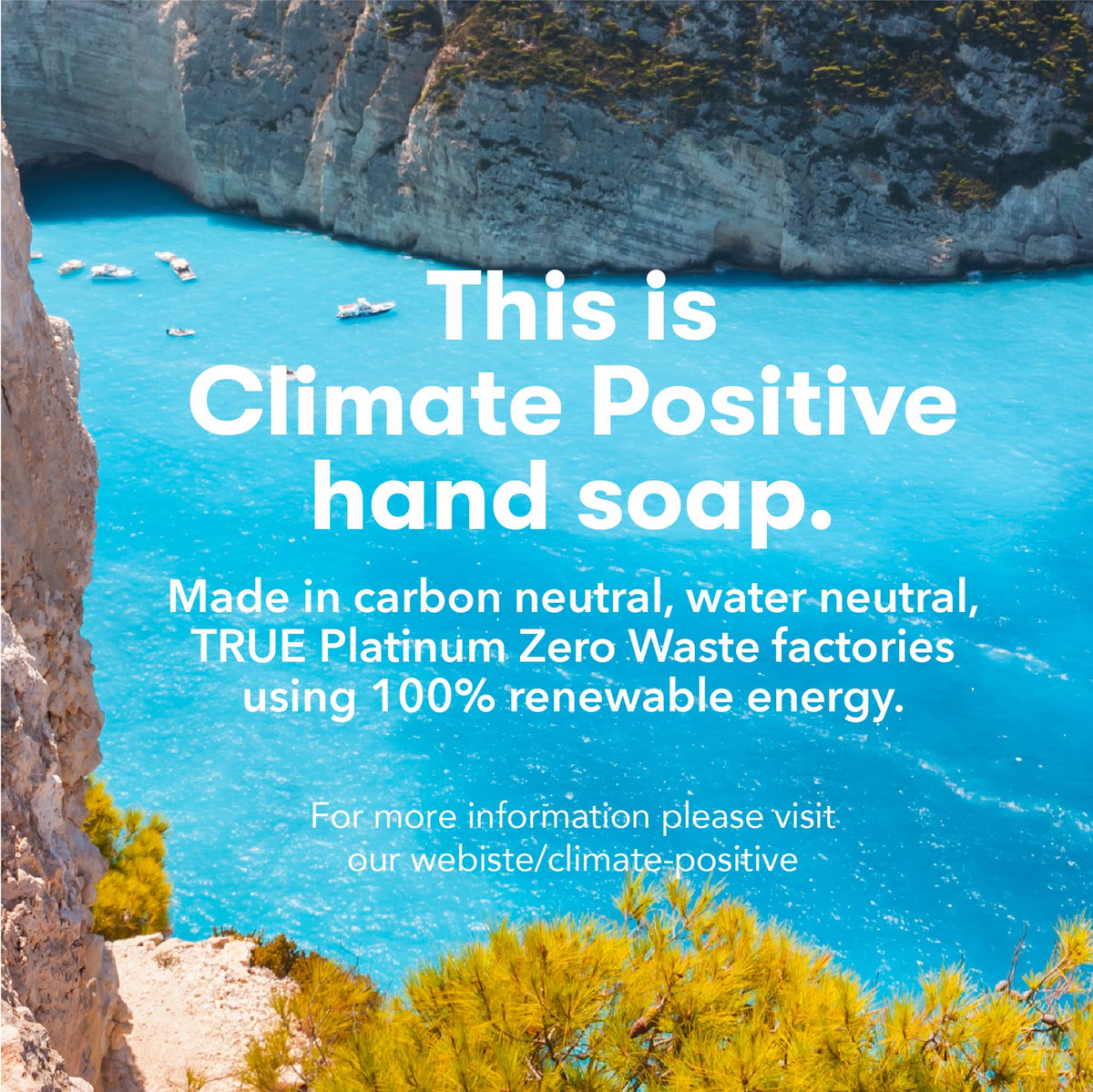 ECOS label ingredients closeup highlighting vegan and Safer Choice benefits