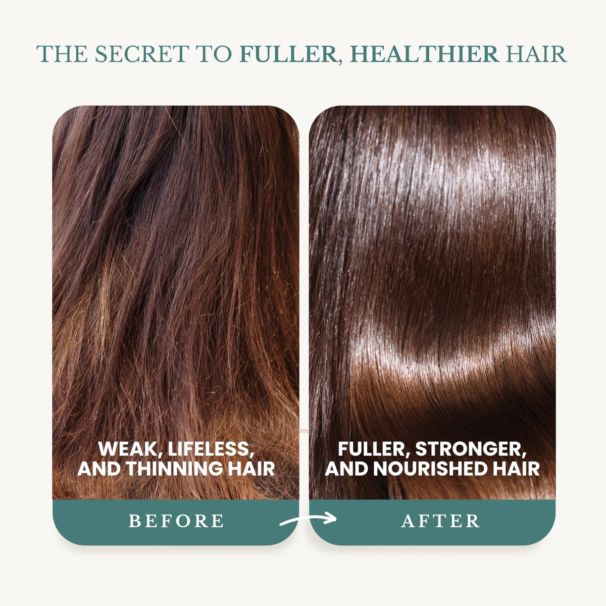 Edenika Botanicals shampoo lather texture demonstrating gentle cleansing