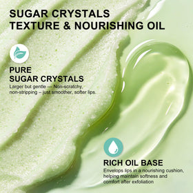 EJW flatlay with aloe, jojoba oil and vitamin E ingredients highlighting nourishment
