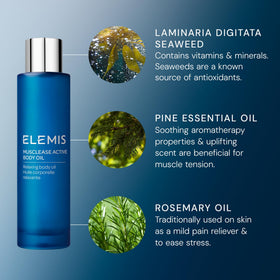 ELEMIS Musclease near laminaria seaweed display emphasizing marine extract nourishment
