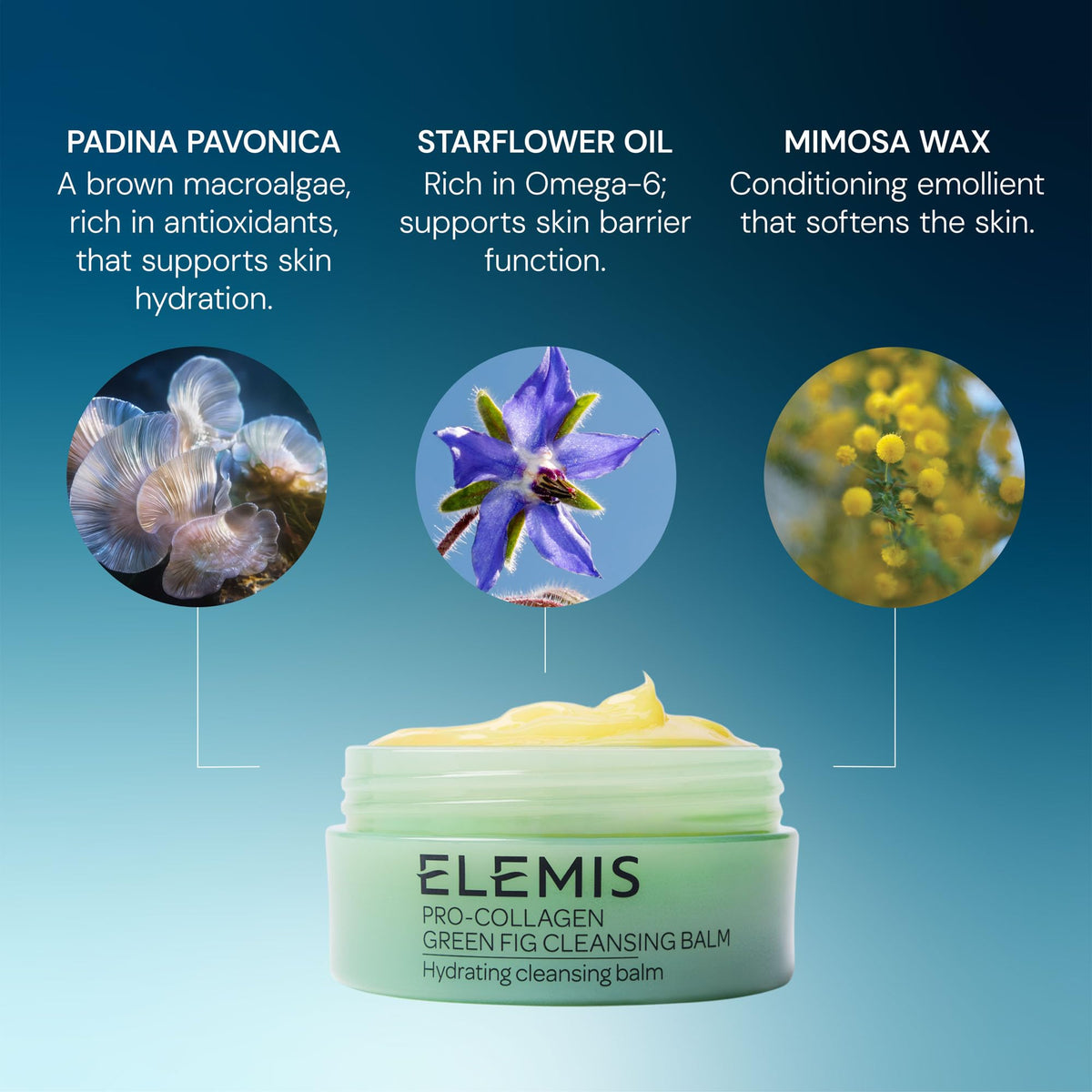 ELEMIS ingredient focus on green fig highlighting natural fragrance benefit