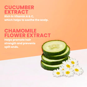 ELEVEN AUSTRALIA bottle beside conditioner to show size and routine pairing benefit