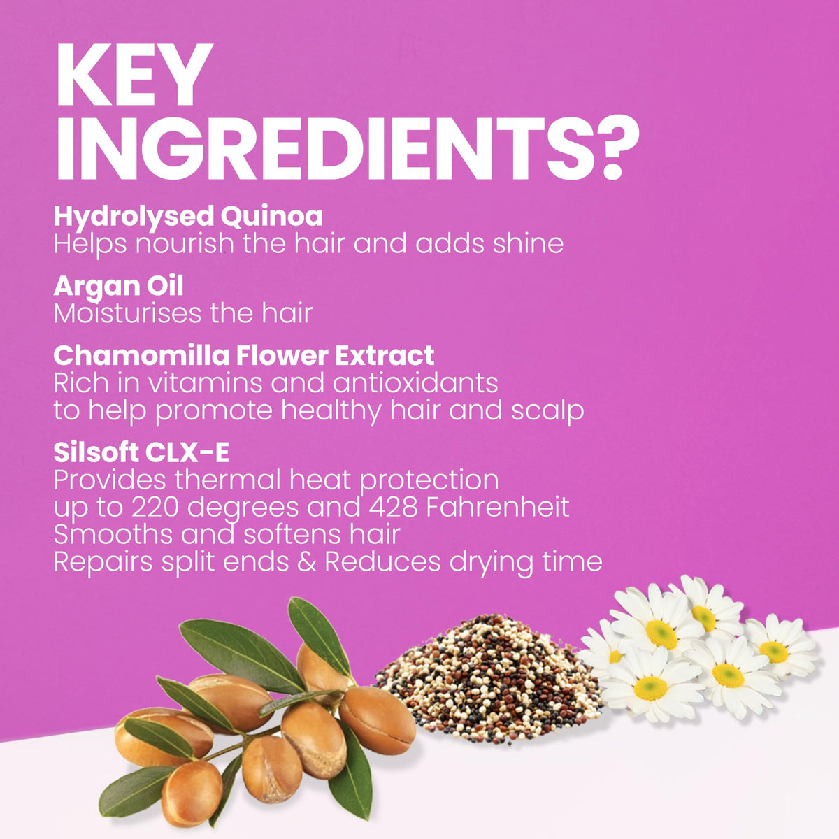 ELEVEN AUSTRALIA argan oil ingredient image highlighting moisturizing benefit