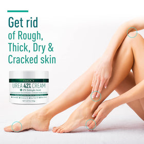 Ellocy ingredients layout with aloe and tea tree to highlight natural support