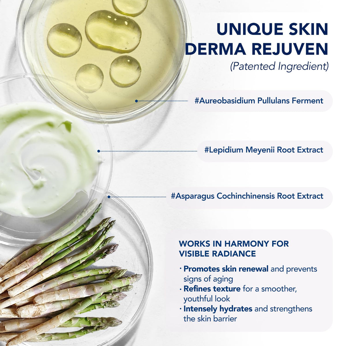 ElySeoul botanical ingredient blend close-up highlighting regenerative benefits