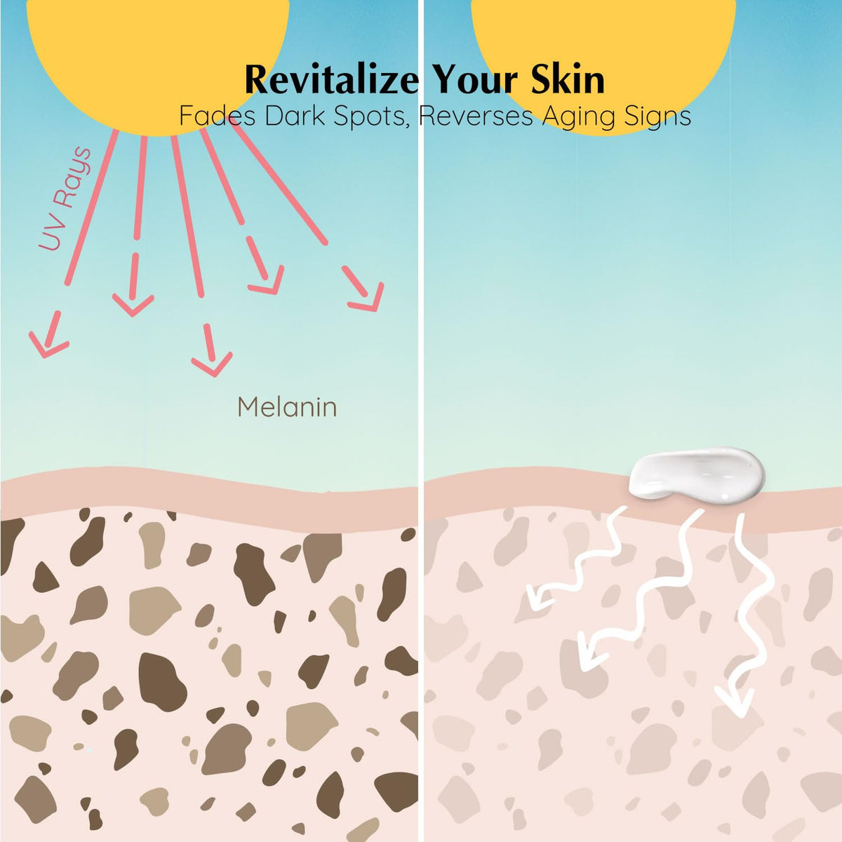 Plant extracts beside EnaSkin tube highlighting botanical formula benefit