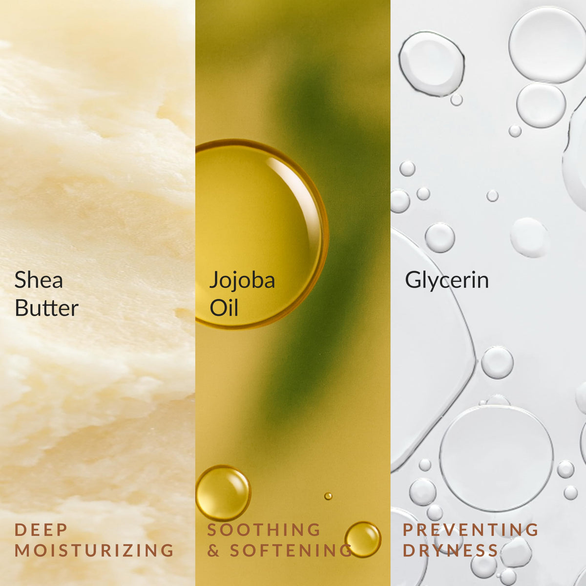 Epielle ingredients display with shea butter jojoba oil bamboo extract for nourishment