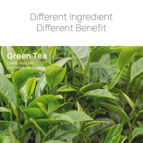 Epielle green tea ingredient visual highlighting soothing antioxidant benefit