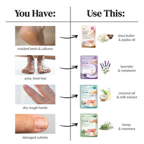 Epielle ingredients layout highlighting coconut oil and shea butter benefits