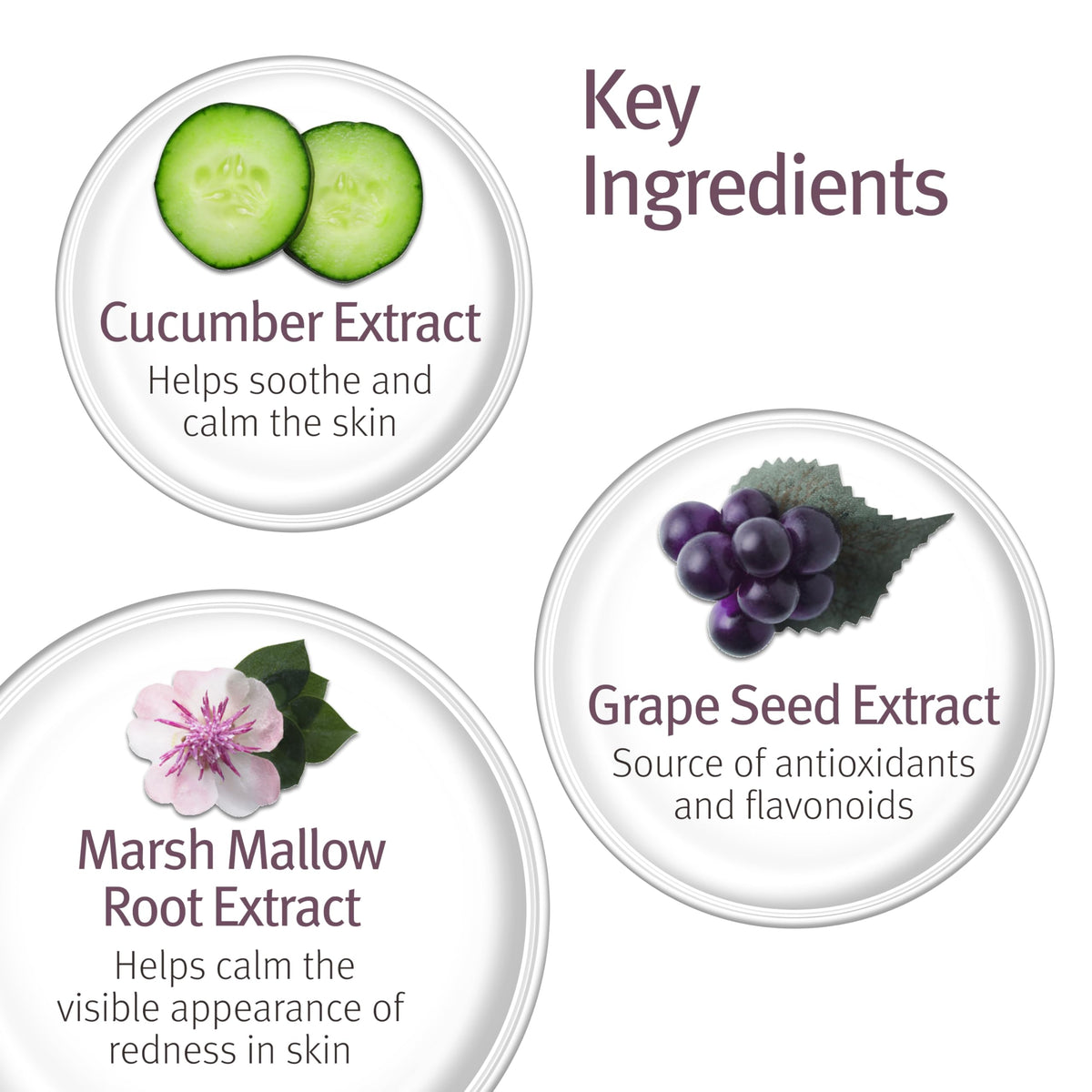 Epionce bottle label detail highlighting alcohol-free, pH-balanced benefits