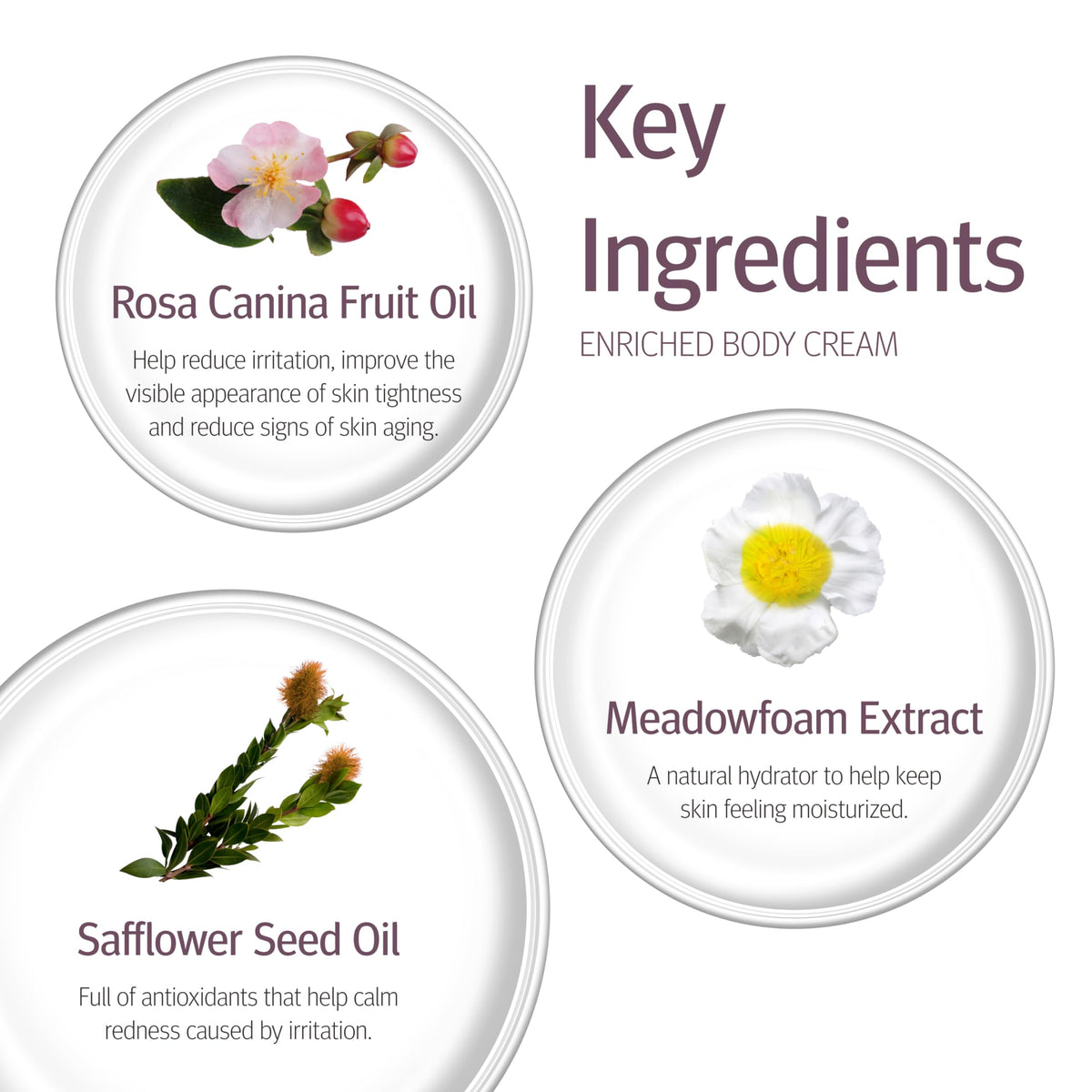 Epionce palm closeup as cream absorbs to reveal smoother, hydrated skin benefit
