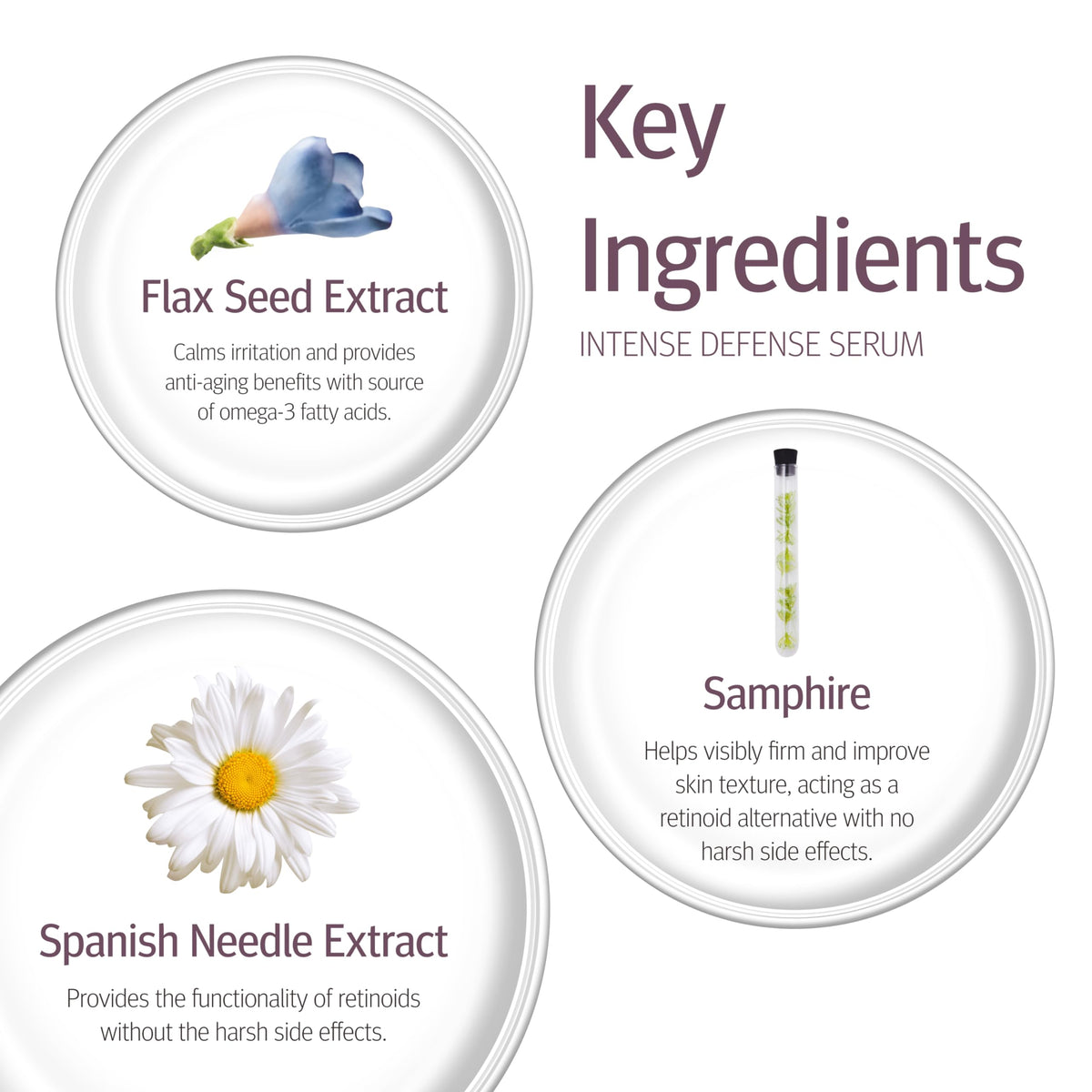 Epionce ingredients visual with vitamins A C E for antioxidant skin support
